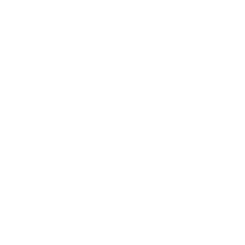 feature-item-2